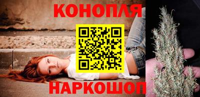 Альфа ПВП Краснознаменск