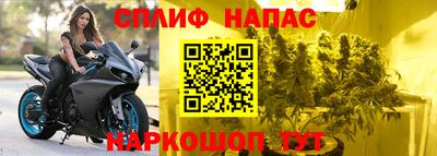Альфа ПВП Краснознаменск