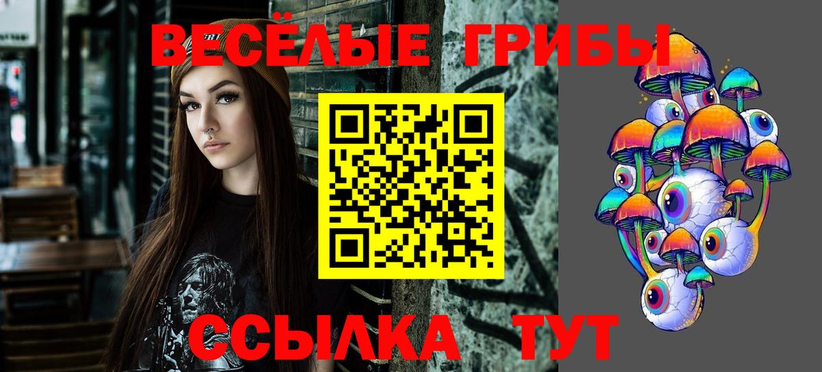 Псилоцибиновые грибы Cubensis Калач-на-Дону